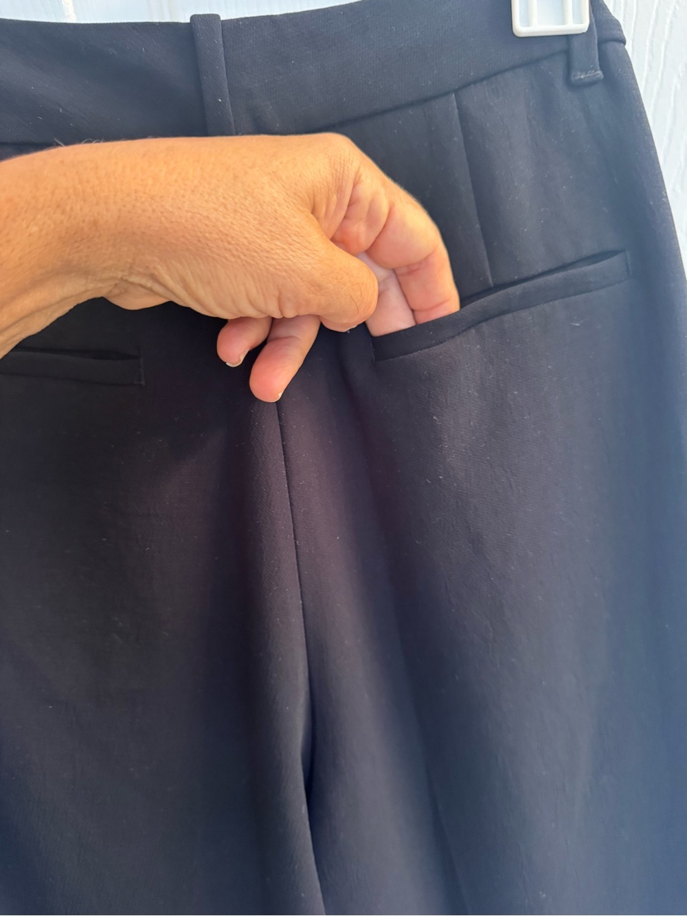Aritzia Wide-Leg Pleated Pants in black - Picture 12 of 16